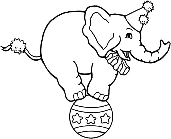 600x490 Drawing Circus Elephant Coloring Pages Best Place To Color