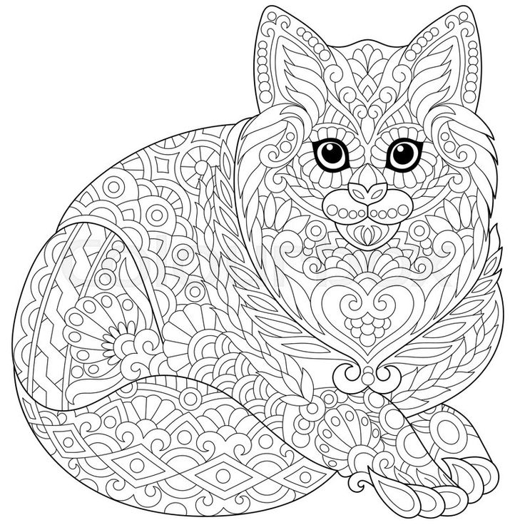 736x736 Best Cats To Color Images On Coloring Books