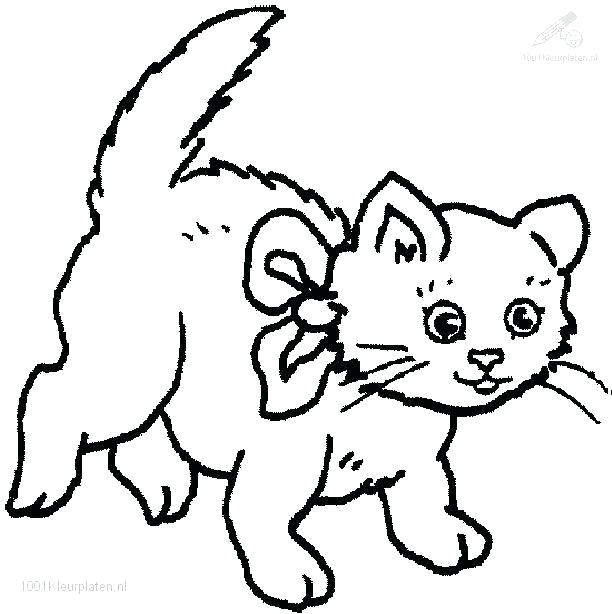 612x614 Coloring Pages Cat Cute Cat Coloring Pages Cats Coloring Pages