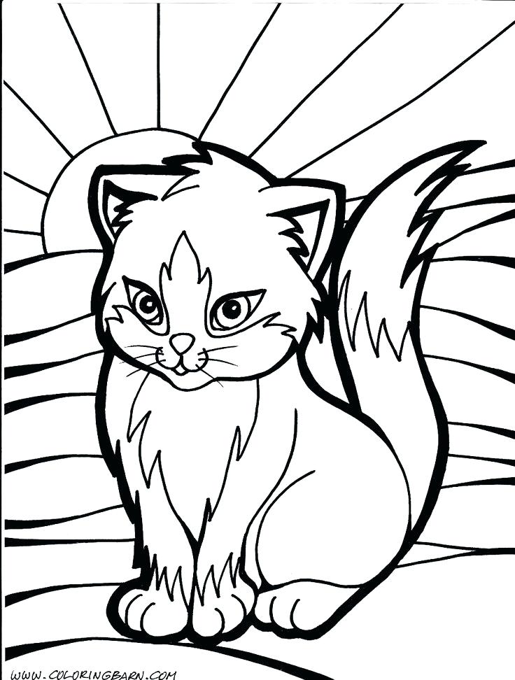 736x972 Cat Coloring Page Ideas Mandala On Trend Cute Cat Coloring Kitty
