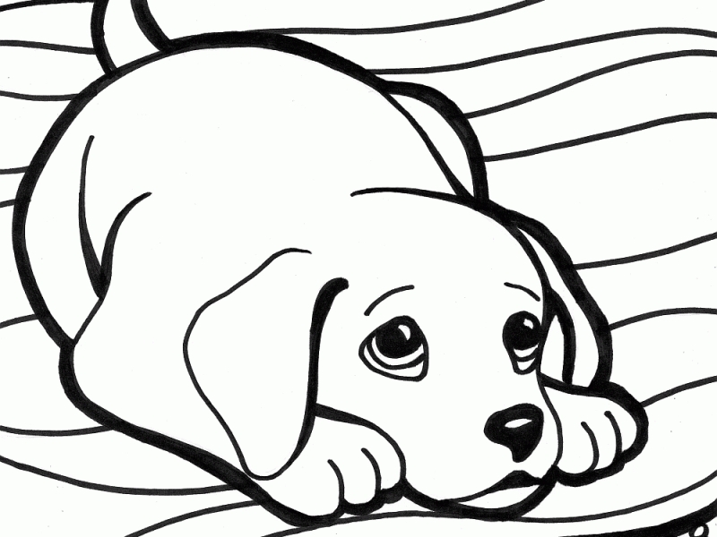 800x600 Cute Dogs Coloring Pages
