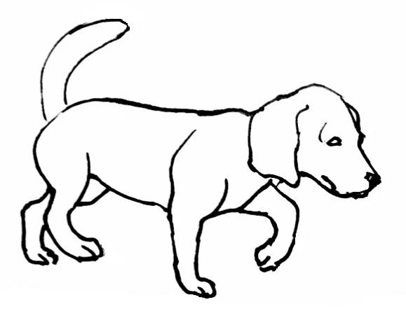 579x451 Dog Coloring Pages
