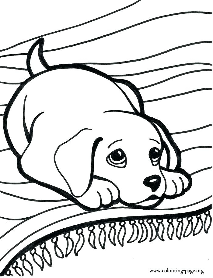 700x912 Coloring Pages Of Cute Dogs And Puppies Dog Coloring Pages Cute