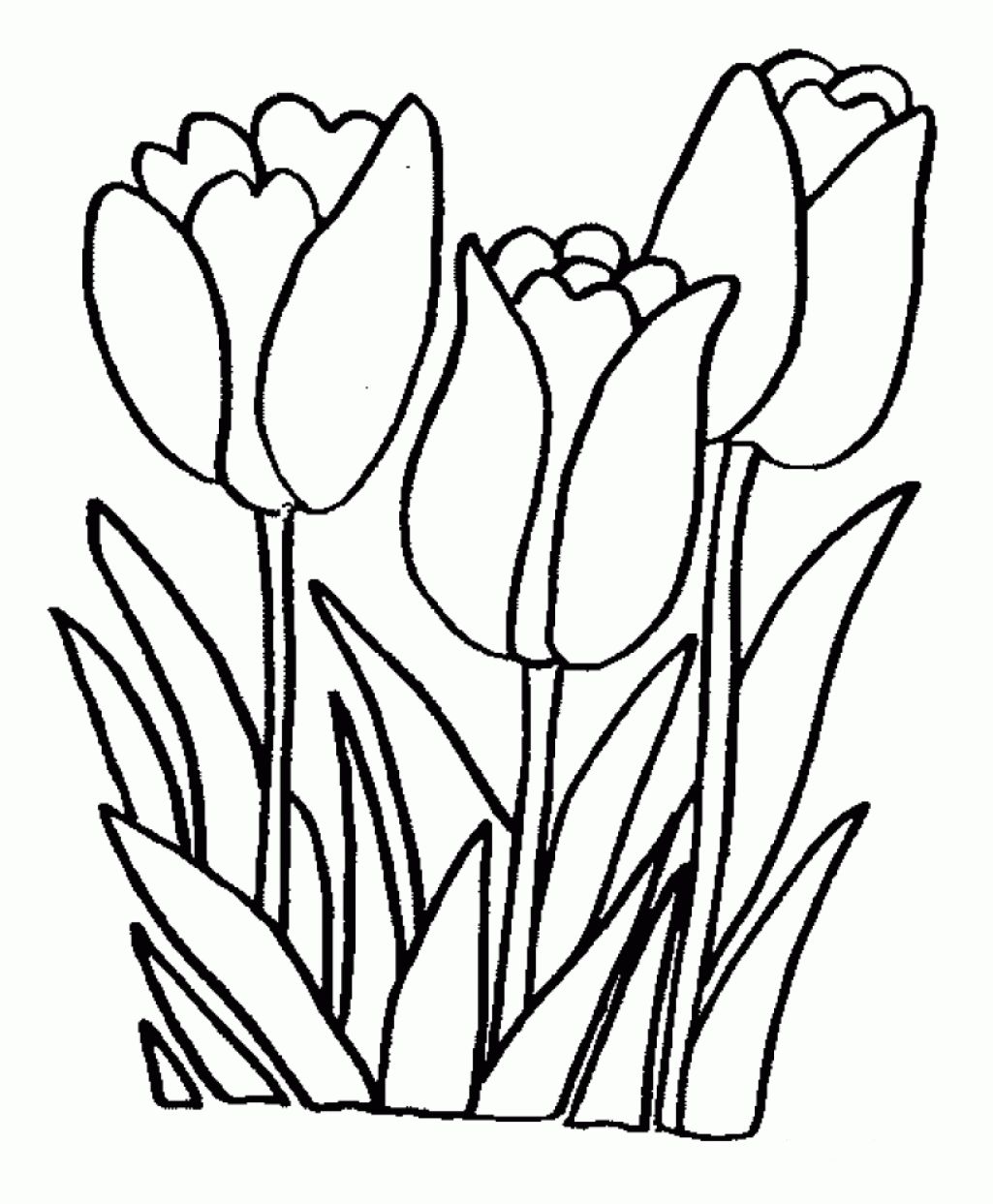 1025x1243 Coloring Pages Flower Free Printable Coloring Pages Easy Printable