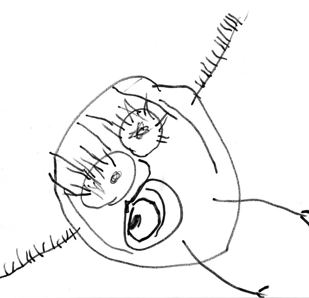 1024x990 Stunning Coloring Pages For Year Old Printable Image Animal Style