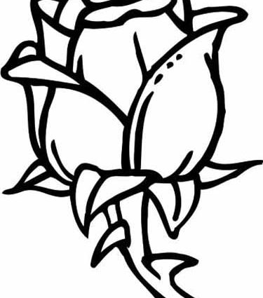 375x425 Coloring Pages For Year Olds Colouring Pages Year Olds Rose