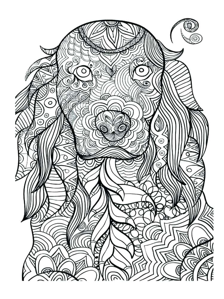 750x1000 Coloring Pages Of Animals Coloring Pages Of Animals Adult Coloring