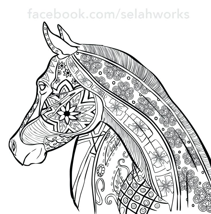736x747 Print Coloring Pages Animals Inspirational Horse Coloring Pages