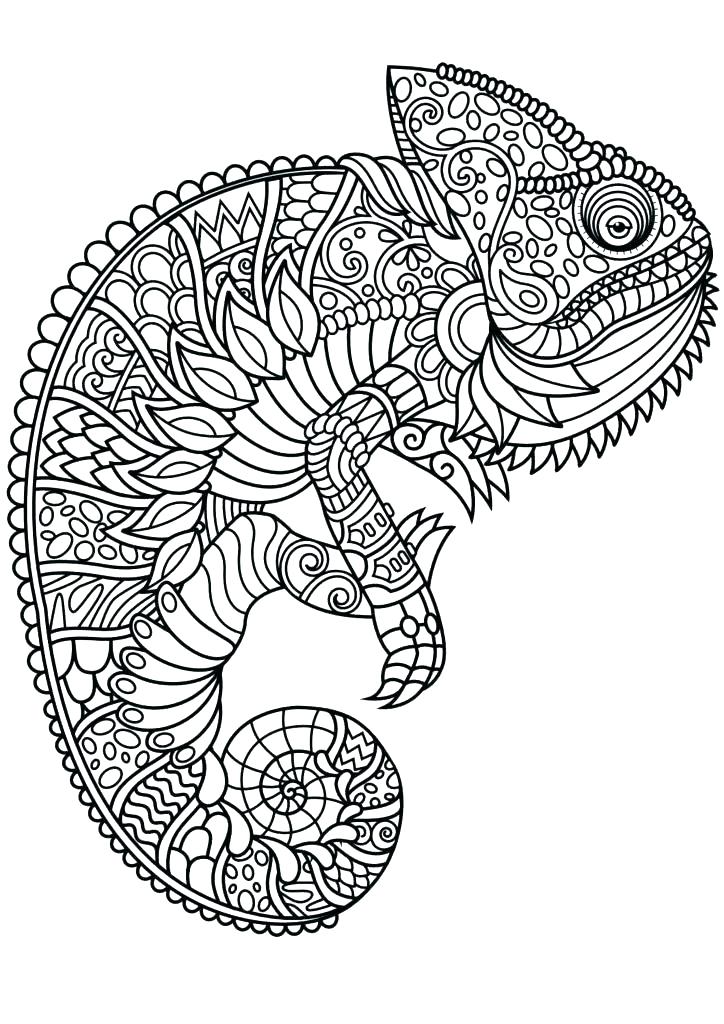 724x1024 Animal Coloring Pages For Adults