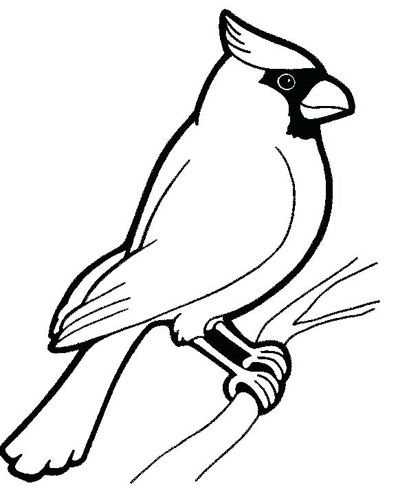 579x725 Coloring Pages For Birds Coloring Pages Of Birds Common Kingfisher
