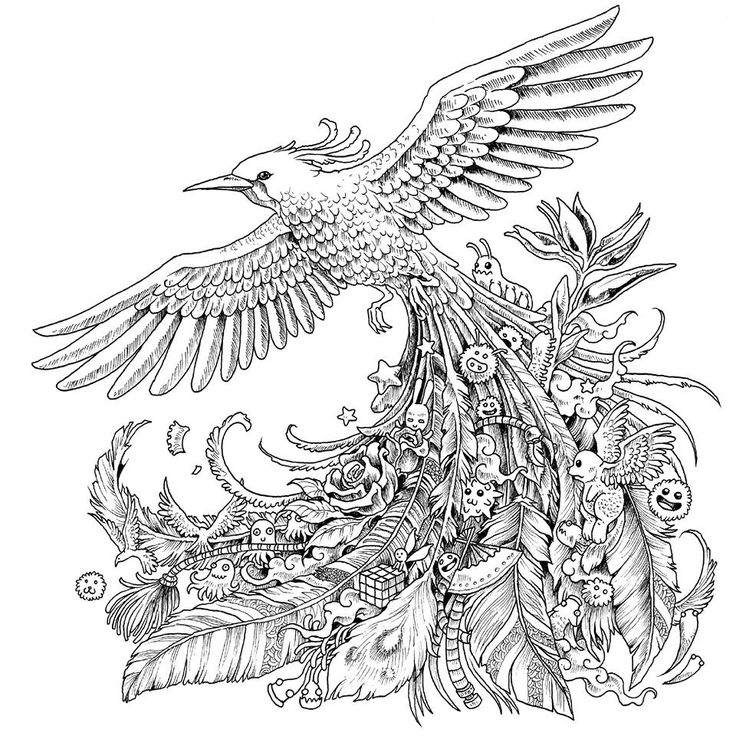 736x736 Best Coloring