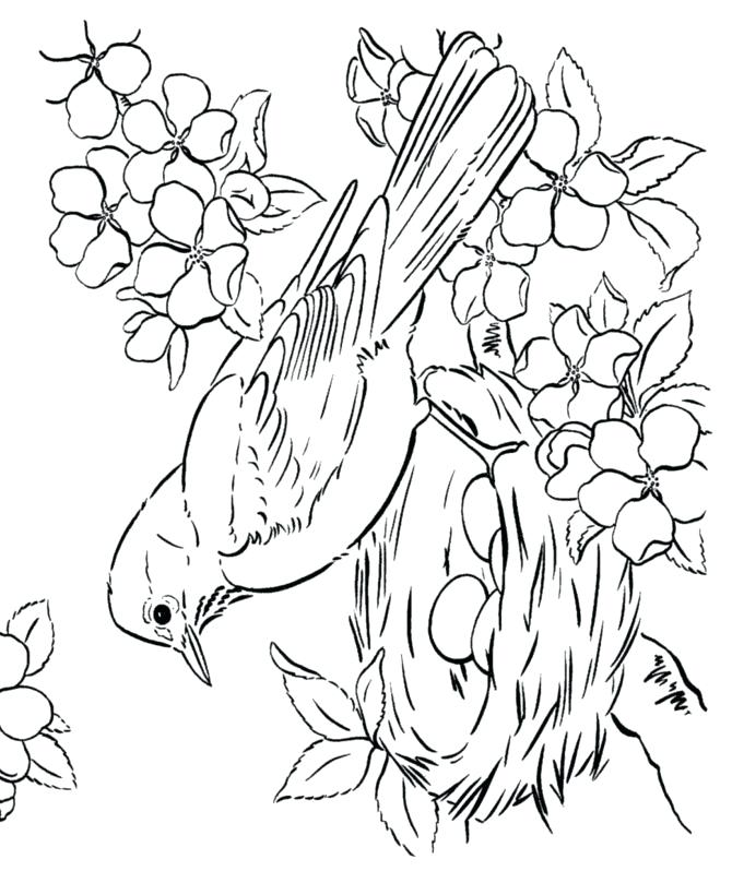 670x820 Unique Bird Coloring Pages For Adults And Drawn Bird Coloring Page