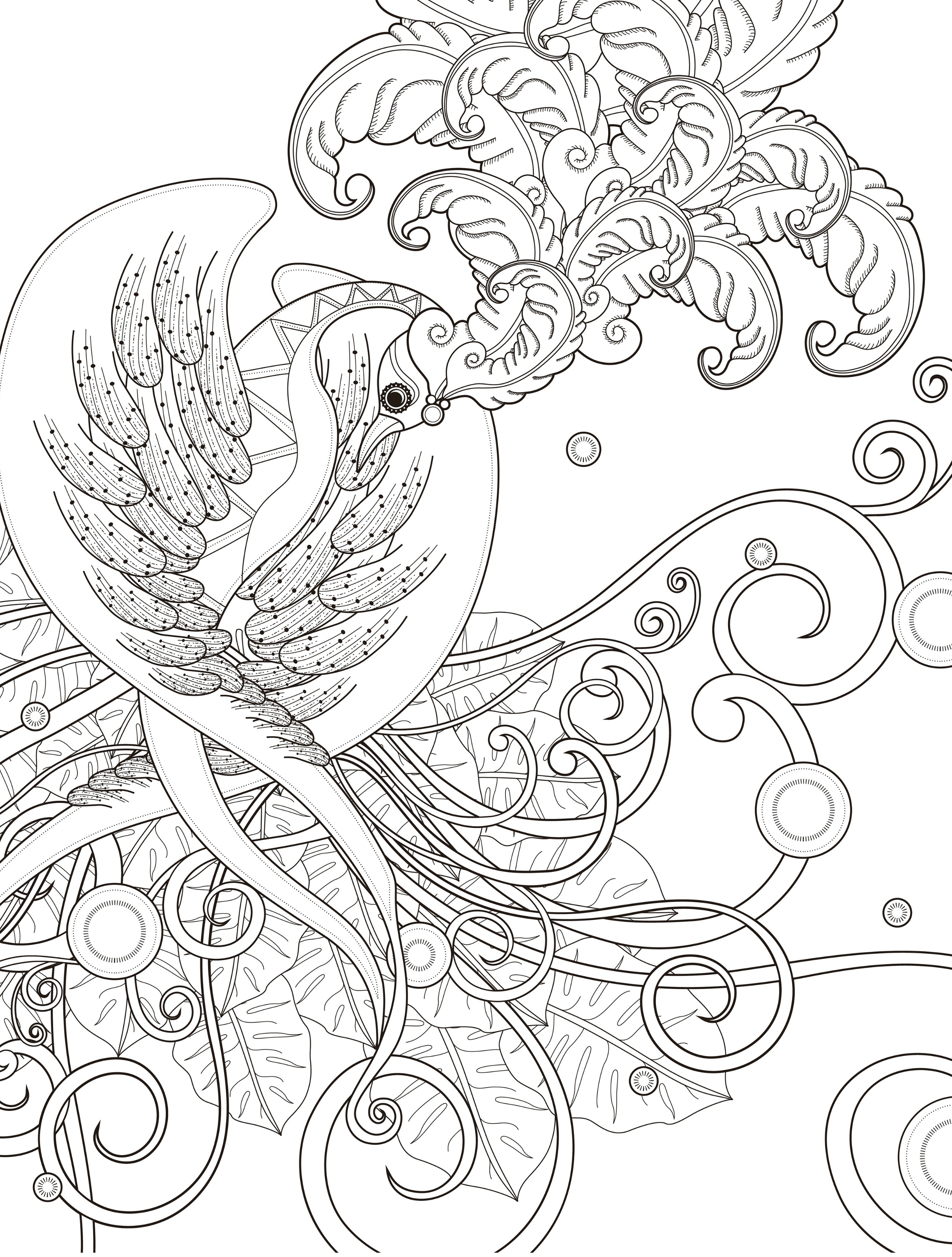 2500x3300 Adult Coloring Pages Of Birds And Teacups Download