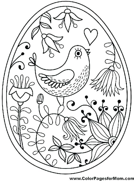 562x760 Bird Coloring Book For Adults