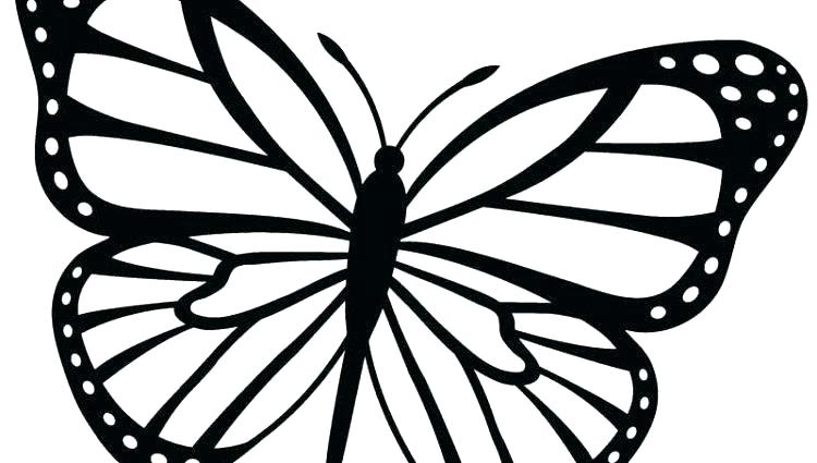 Coloring Pages For Adults Butterflies at GetDrawings | Free download