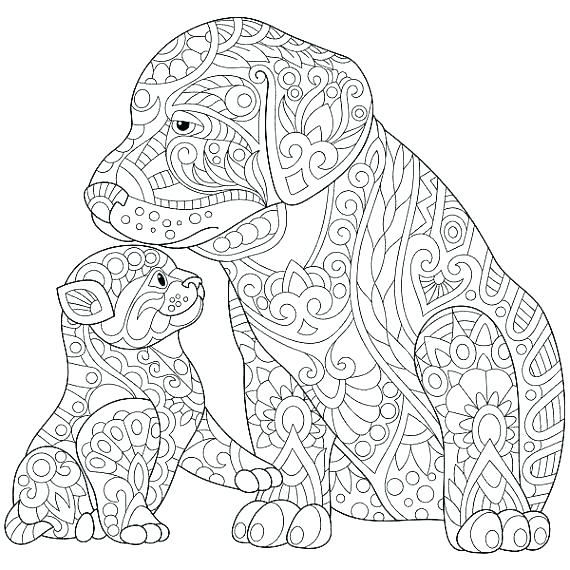 570x570 Coloring Pages Of Dogs Cats Dog Cat Coloring Pages Dog