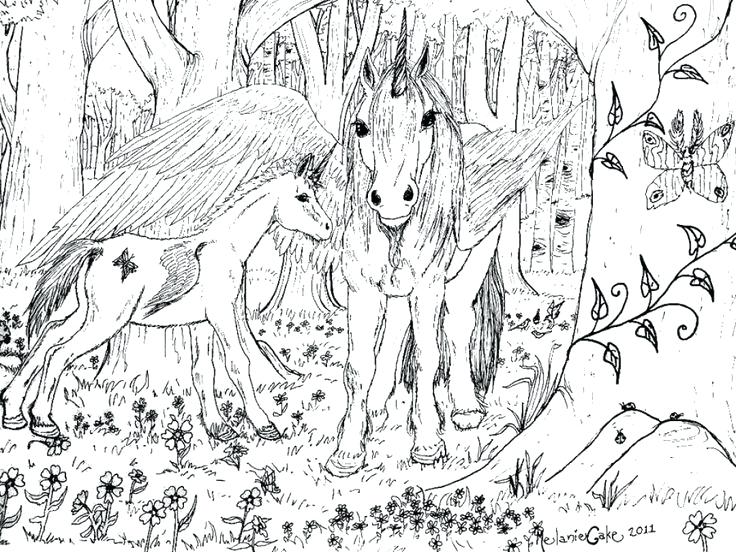 736x552 Super Hard Abstract Coloring Pages For Adults Hard Horse Coloring