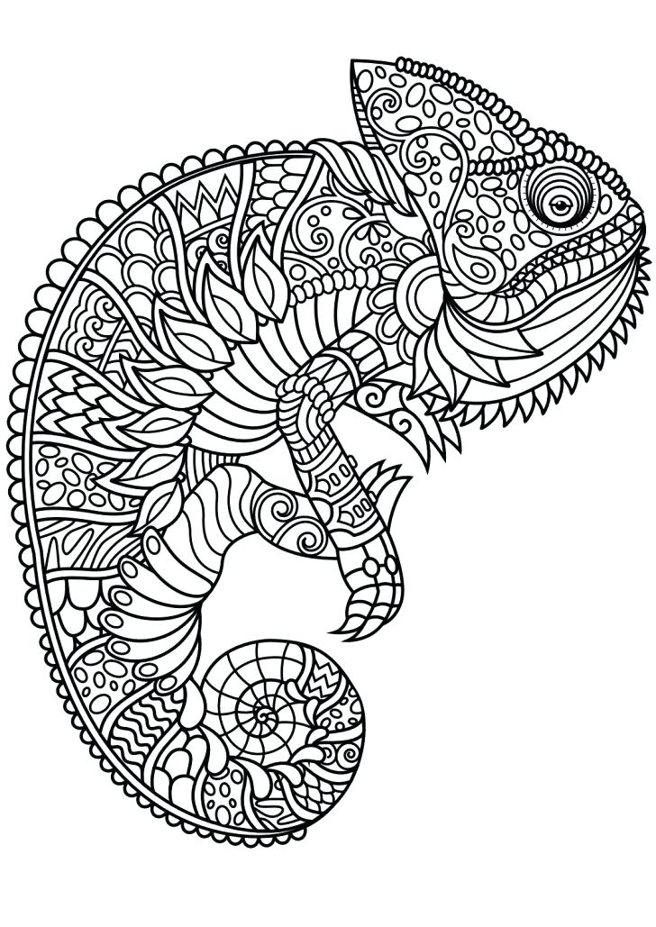 728x1029 Animal Coloring Pages For Adults Packed With Coloring Book