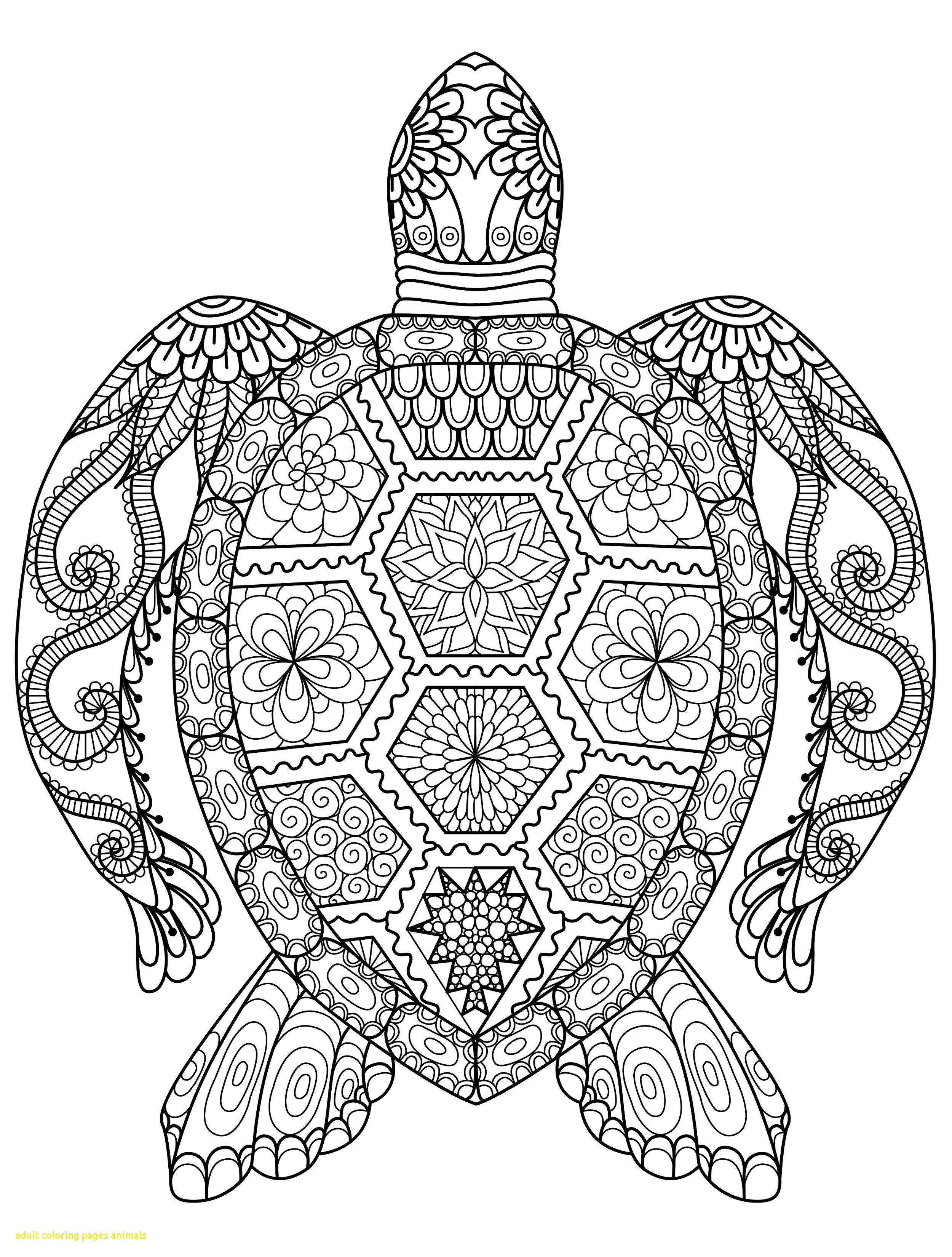 2500x3300 Coloring Pages For Adults Difficult Owls