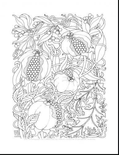 386x500 Coloring Pages Complicated Coloring Pages For Girls To Pretty
