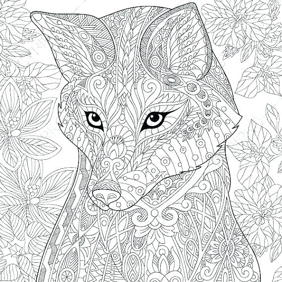 570x570 Red Fox Coloring Pages Red Fox Coloring Page Free Online Printable