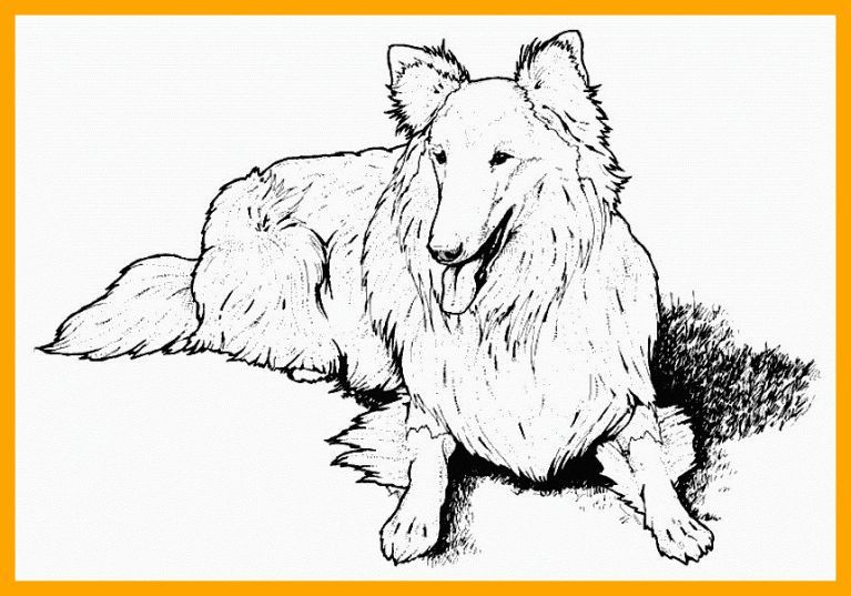 767x537 Stunning Best Of Adult Coloring Pages A Dog Lab Gallery Printable
