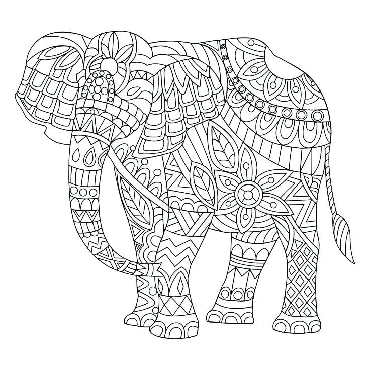 736x736 Coloring Page Elephant Elephant Color Page In Addition To Coloring