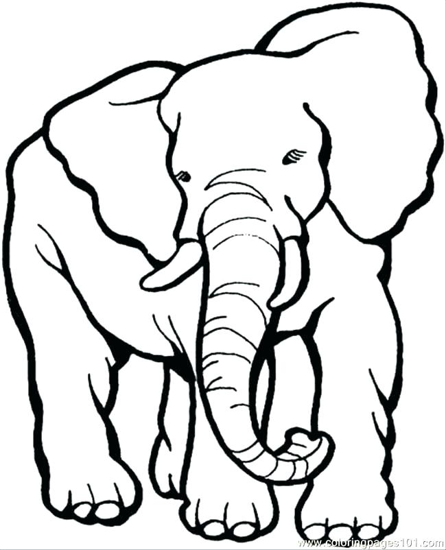 650x802 Coloring Pages Elephants Elephant Coloring Pages Excellent