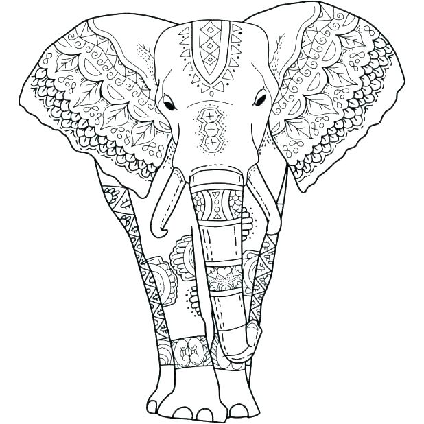 618x618 Elephant Coloring Book For Adults Together With Elephant Coloring