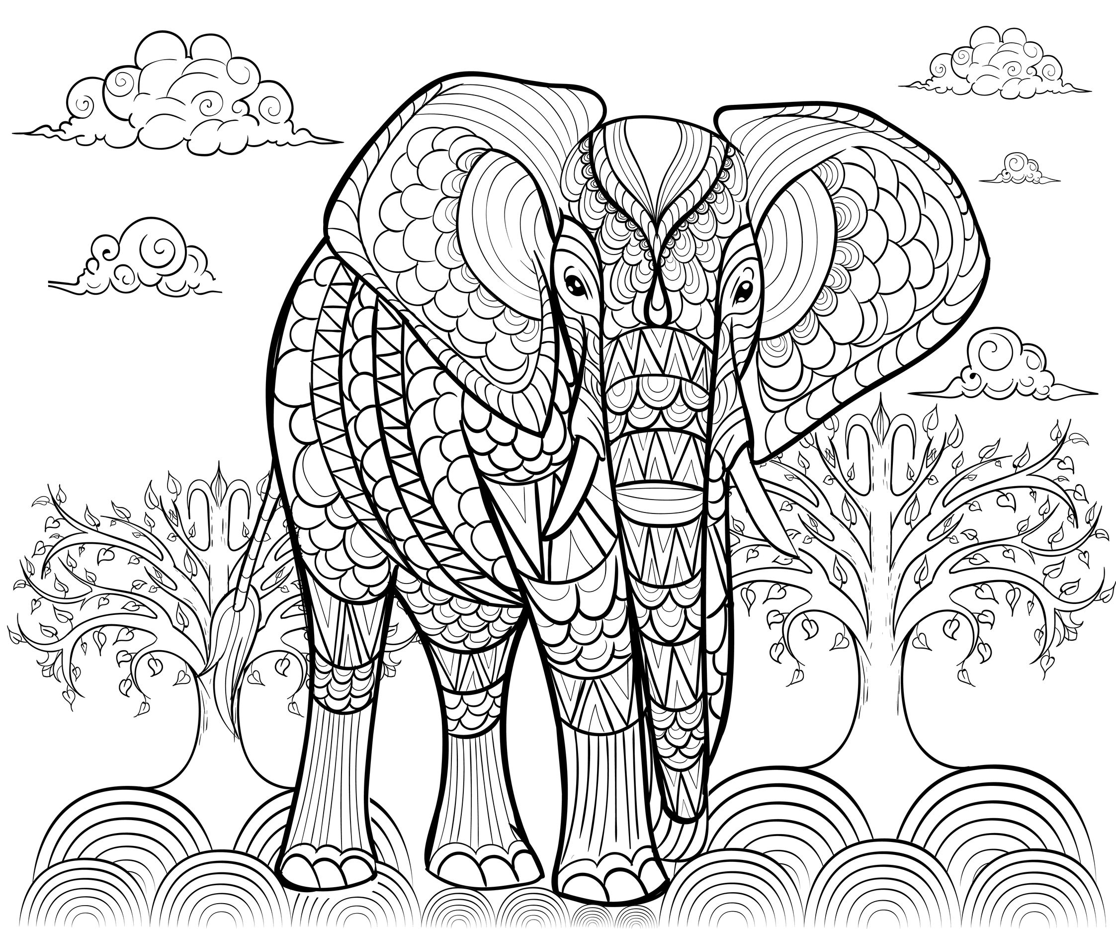 2245x1869 Elephant
