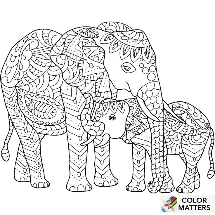736x736 Best Coloring Elephant Images On Adult Coloring