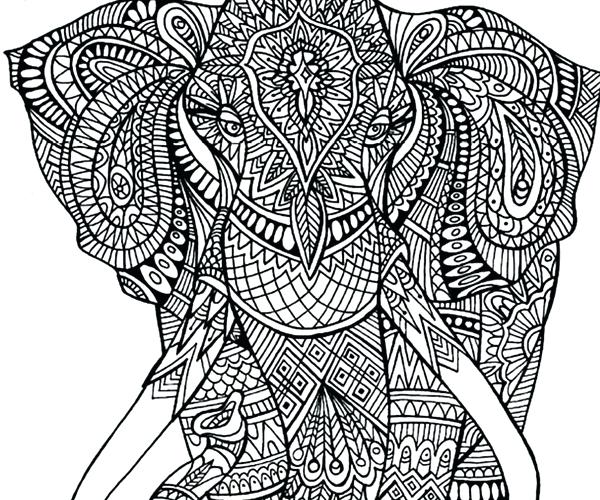 600x500 Adult Coloring Elephant
