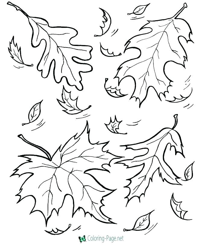 670x820 Fall Coloring Pages For Adults