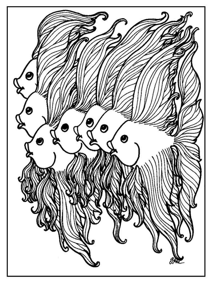 854x1130 Fish Coloring Pages Adults Amazing Fish Coloring Pages