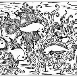 268x268 Fish Coloring Pages For Adults Give The Best Coloring Pages