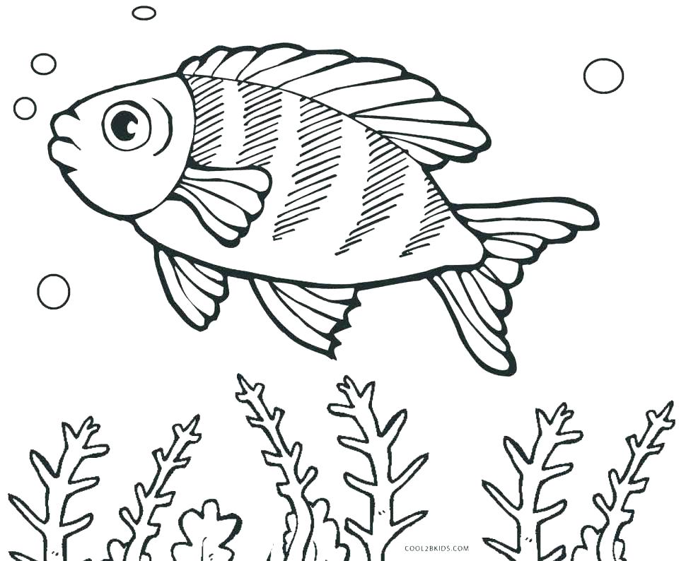970x794 Printable Fish Coloring Pages For Adults Color