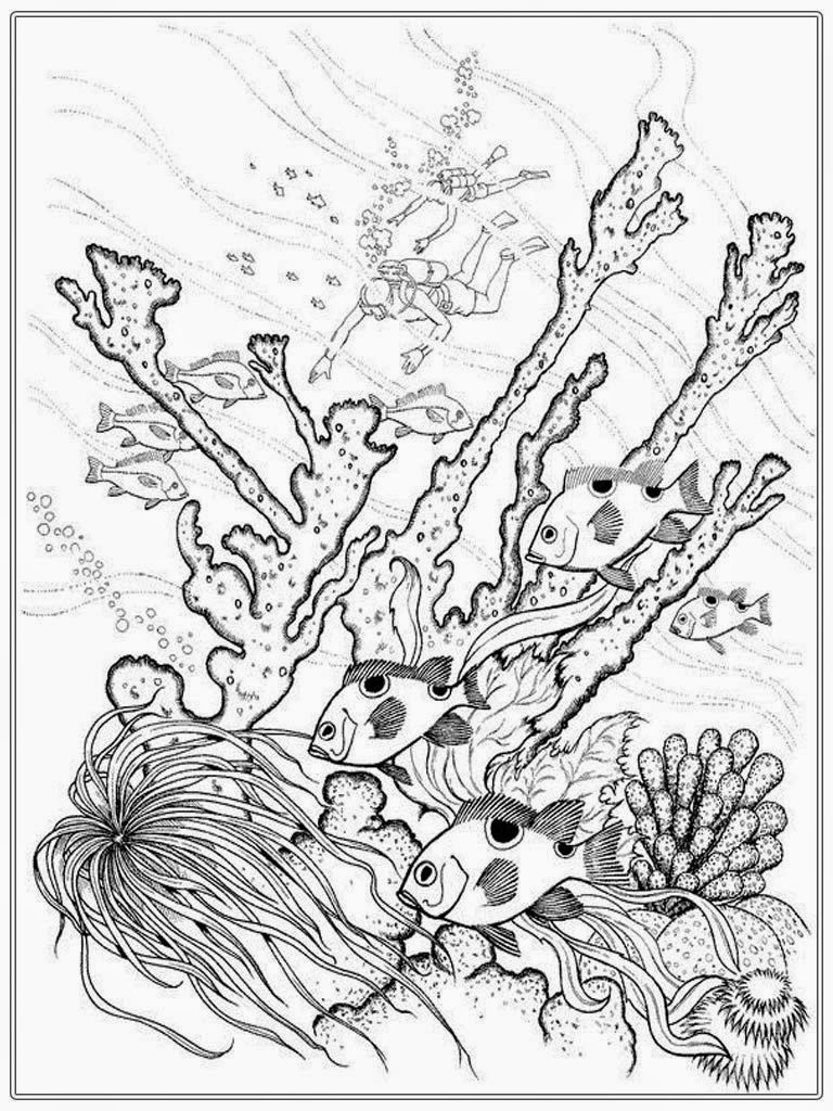 768x1024 Saltwater Fish Coloring Pages