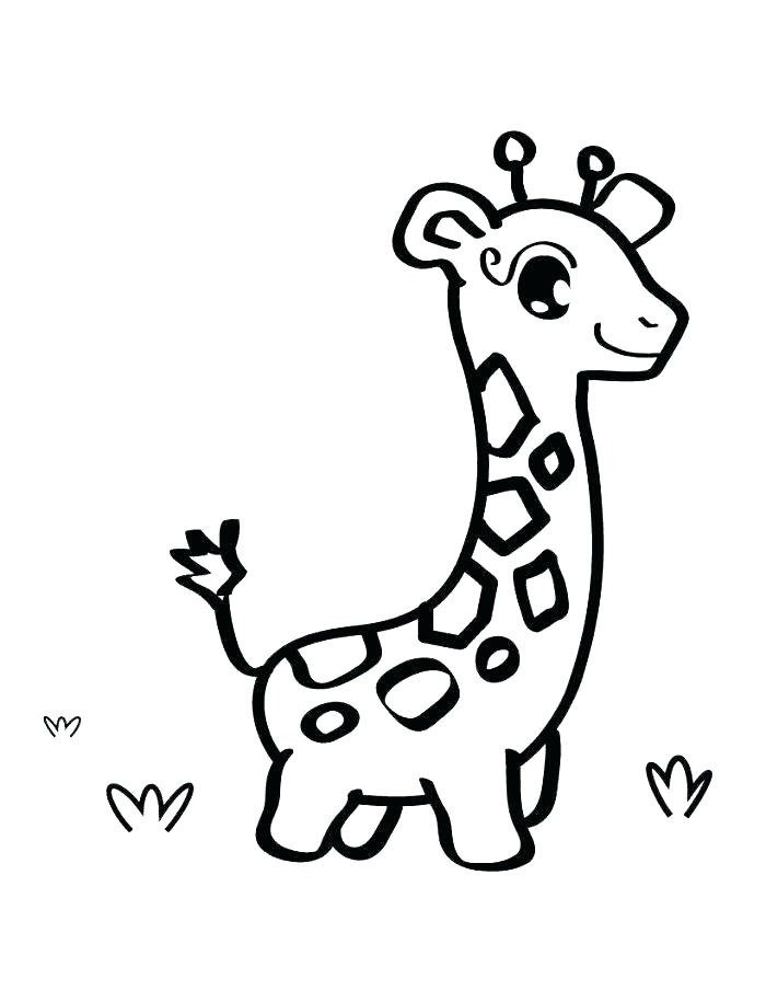 700x904 Baby Giraffe Coloring Pages Giraffe Coloring Pages Printable Baby