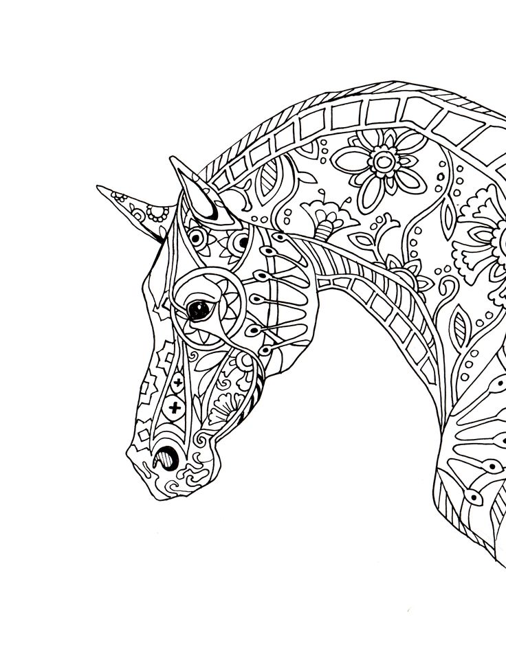 Coloring Pages For Adults Horses