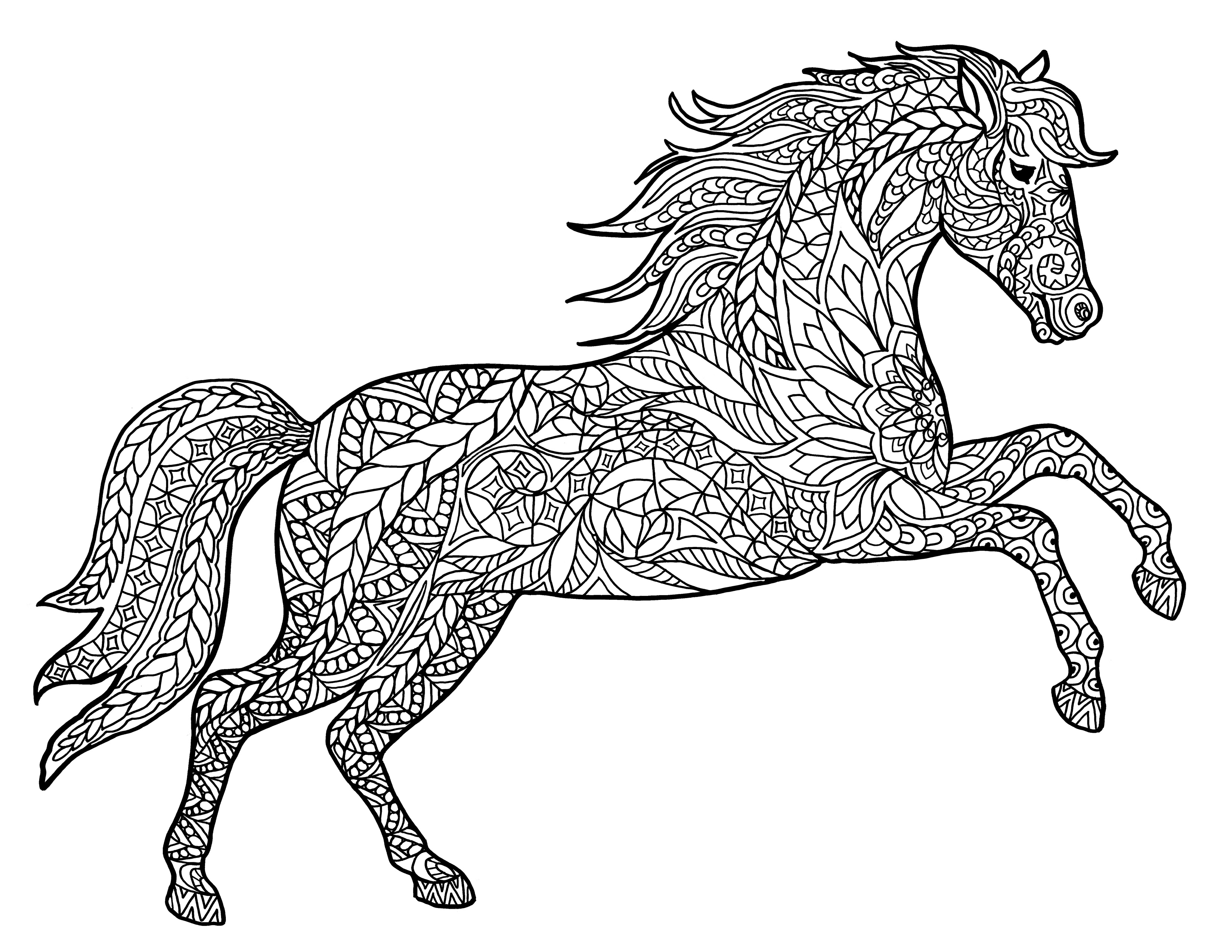 3300x2550 Horse Coloring Pages For Adults