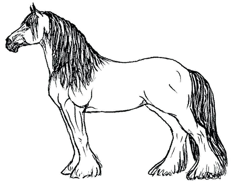 1000x786 Adult Coloring Pages Horse