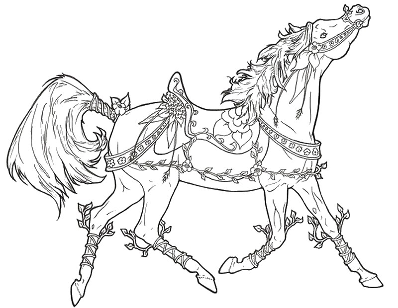 800x620 Horse Adult Coloring Pages Adult Coloring Pages Horses Free