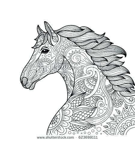 450x470 Marvelous Horse Coloring Pages For Adults