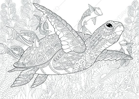 570x407 Ocean Coloring Book