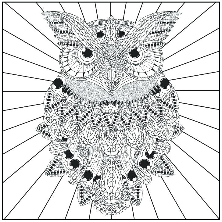 728x728 Coloring Pages Of Owls Owl Coloring Page Adult Club In Pages Owls