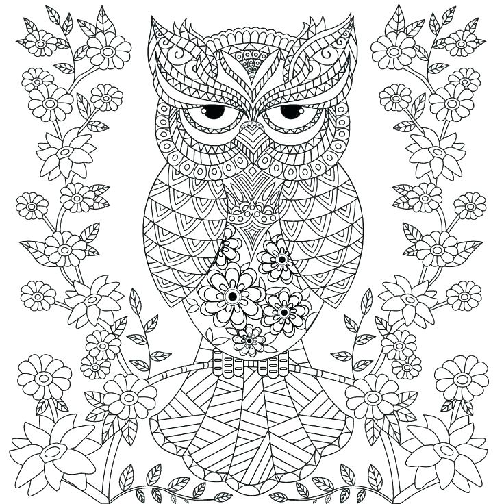 736x736 Owl Printable Coloring Pages Owl Printable Coloring Pages As Well