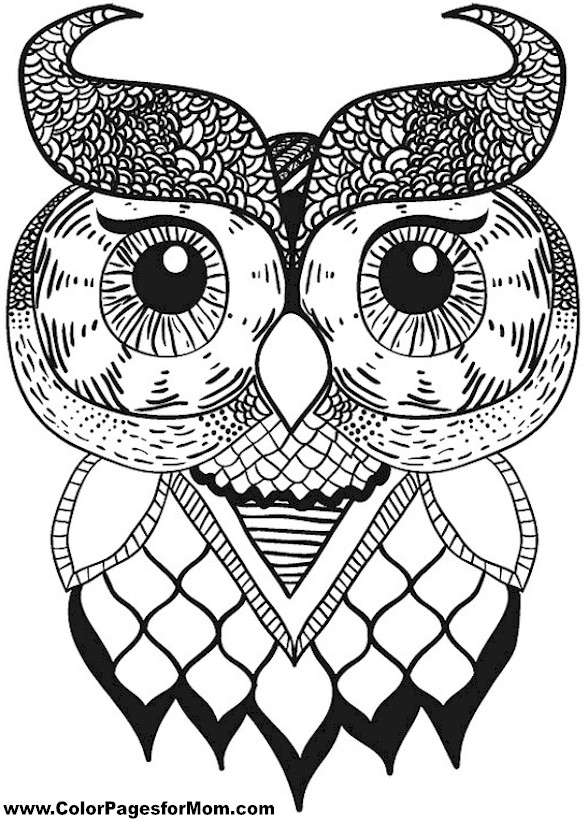 584x820 Printable Adult Coloring Pages Owls