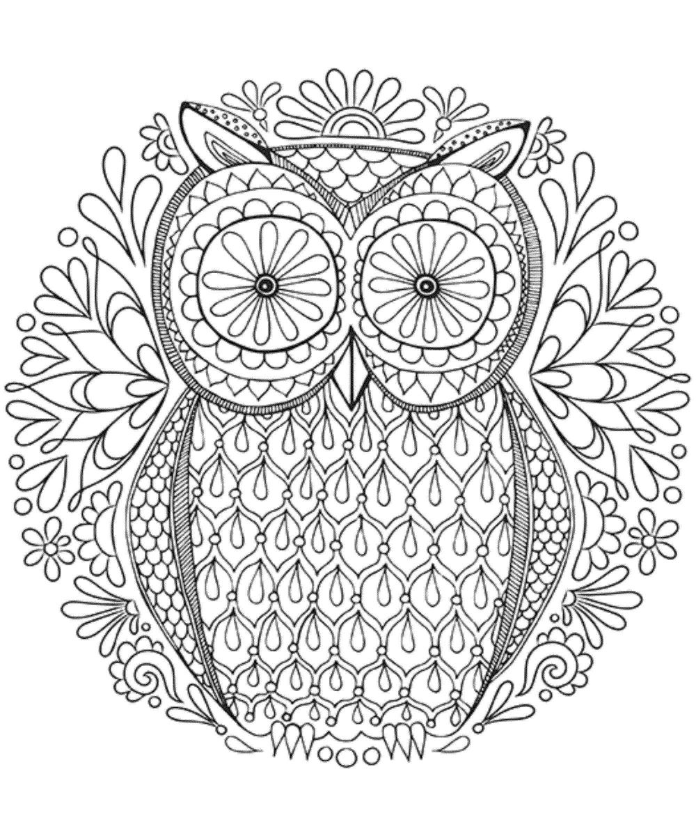1000x1177 Amazing Owl Mandala Coloring Sheets Pict Of Pages For Adults