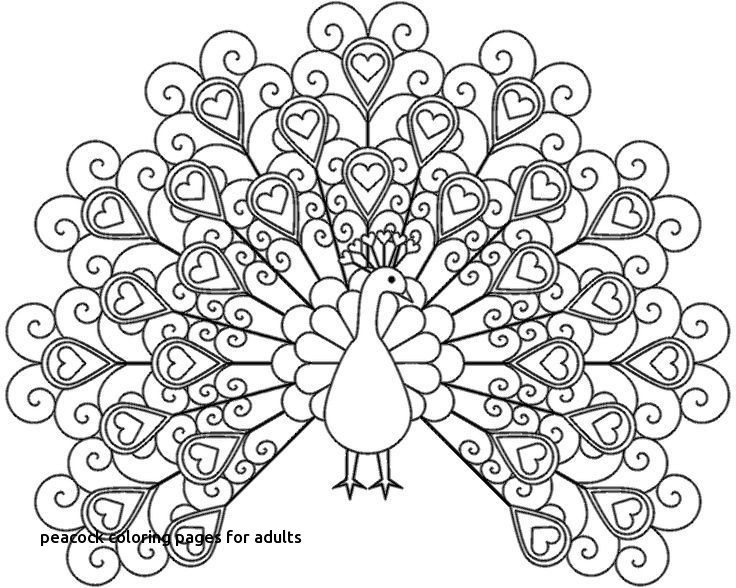 736x588 Peacock Coloring Pages Printable Best Of Colour Drawing Free