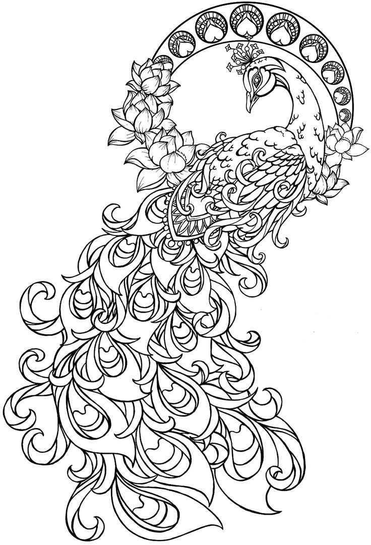 736x1081 Best Free Online Coloring Pages For Adults